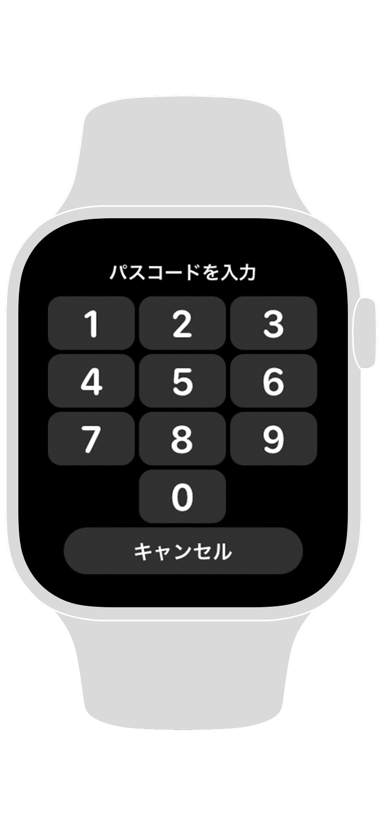 エクスプレスカード Face Id等なしで利用する Apple Payのpasmo